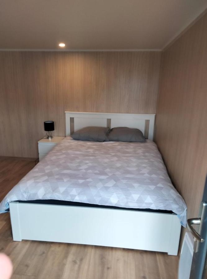 Duplex Atypique En Bois Entre Ville Et Verdures 라샤펠르생매스밍 외부 사진